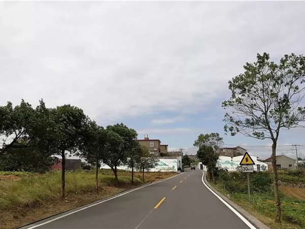 临海杭州市政道路施工时间段深度剖析:平衡建设与城市生活